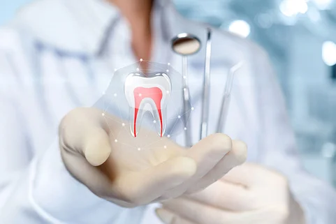 https://dinamik.yoursmileturkey.com/wp-content/uploads/2023/03/root-canal-treatments.webp